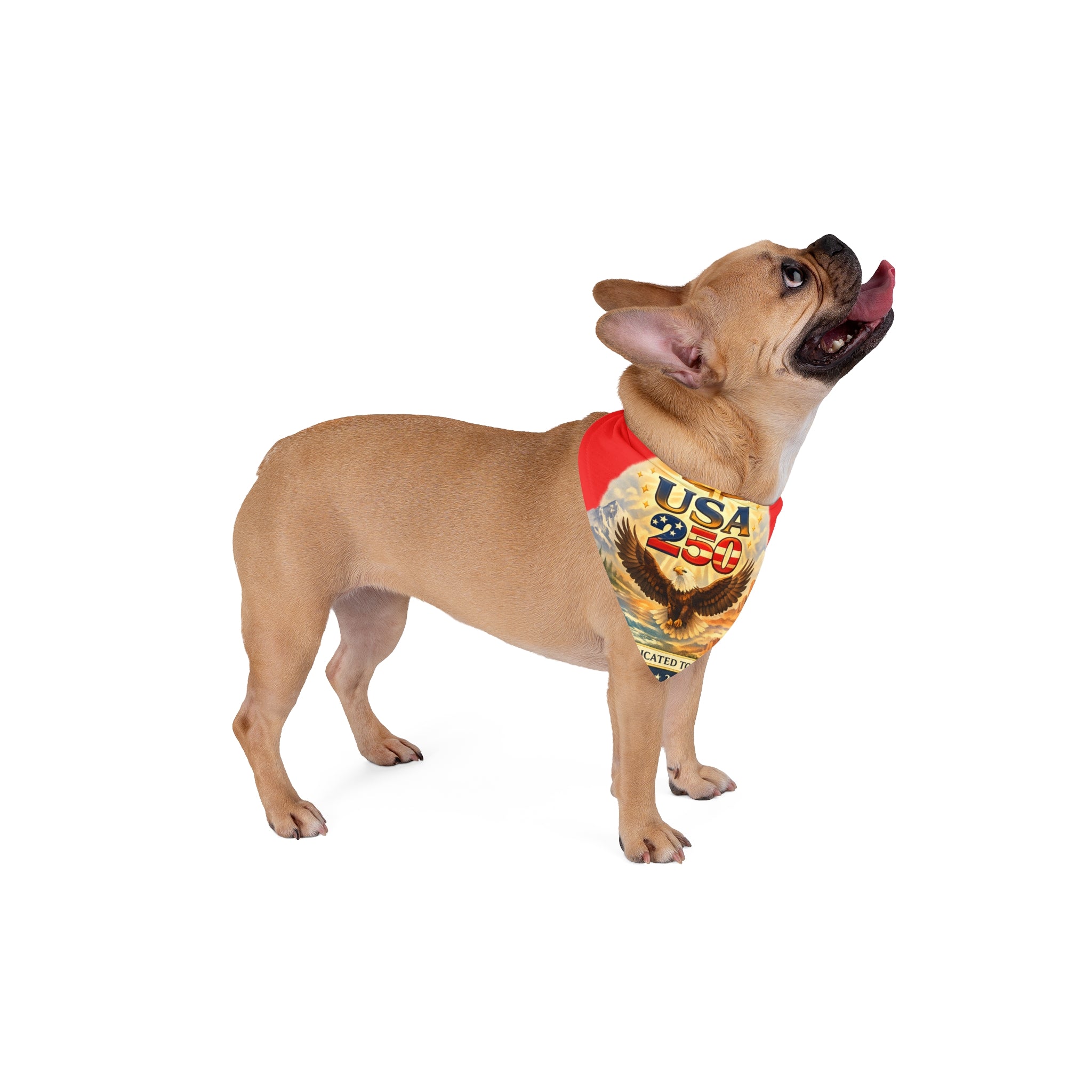 Fourth of July Pet Bandana — Patriotic Fireworks Dog & Cat Accessory
